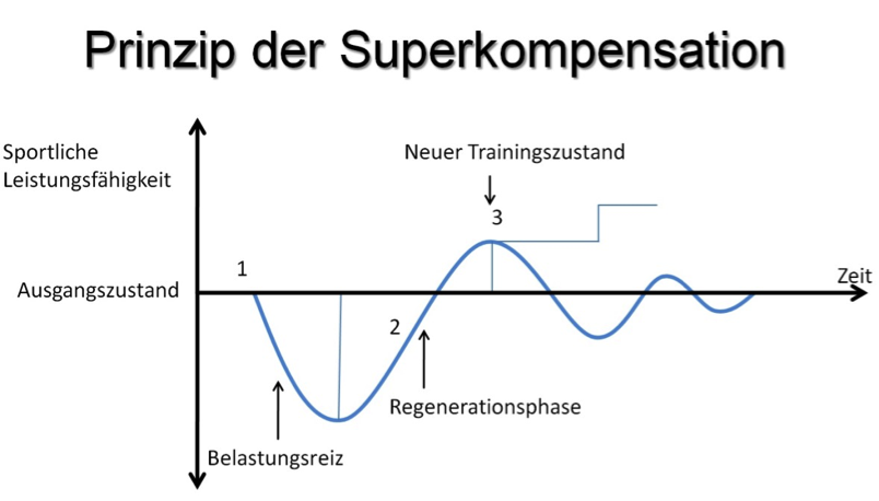 prinzip-der-superkompensation
